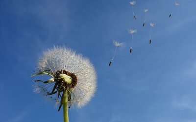 Abschied für die 4. Klassen