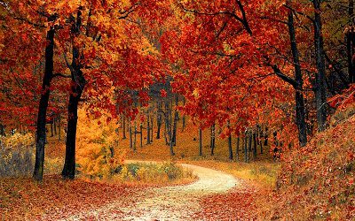 Schöne Herbstferien!