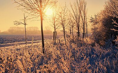 Schöne Winterferien