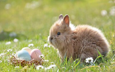 Start der Osterferien: Zwischenstand zur Schulschließung