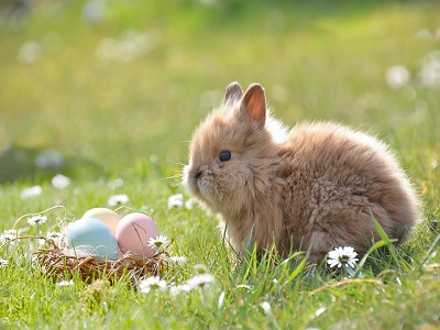 Start der Osterferien: Zwischenstand zur Schulschließung