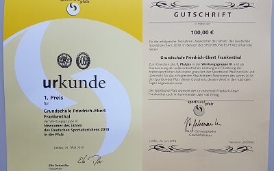 Sportliche Newcomer des Jahres